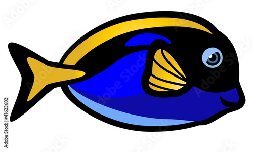 Tropical Fish