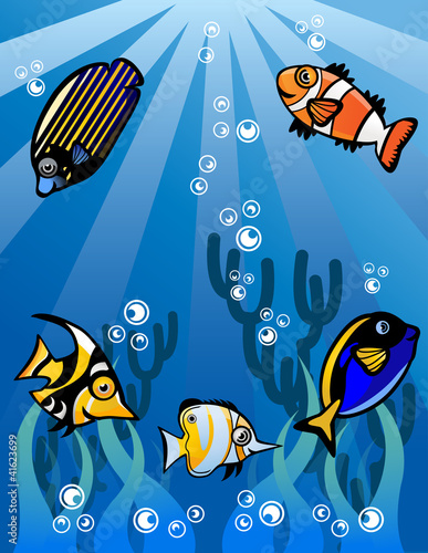 Underwater world