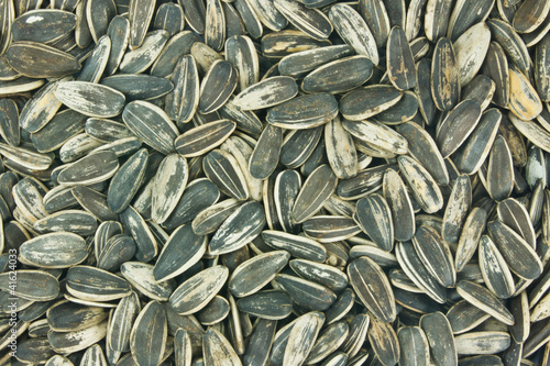 sunflower seeds