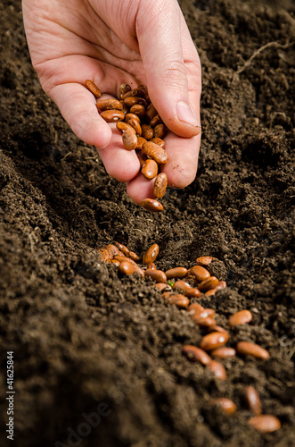 man planting seeds