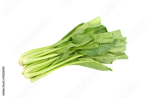 Chinese mustard green vegetable on white background.