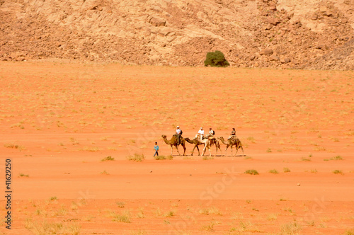 Camel Caravan at Wadi Rum desert  Jordan