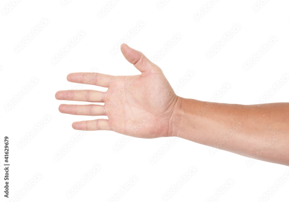 Hand