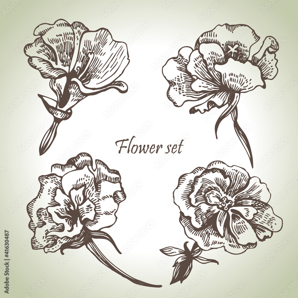 Floral set. Hand drawn illustrations Floral set. Hand drawn illustrations