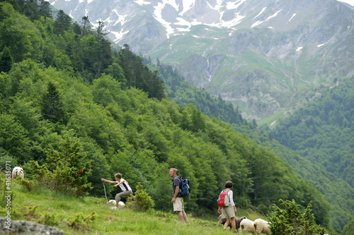 Group of hikers climbing hillside