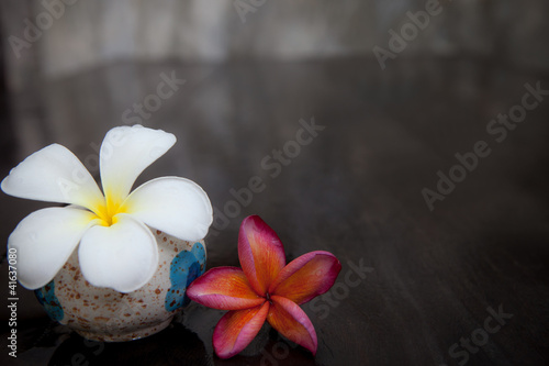 white and red frangipani flowers on wet floor