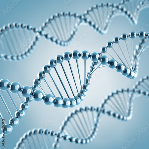 DNA Moleküle