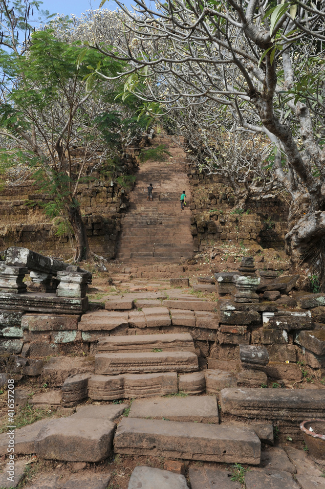 alberi del sito archeologico Khmer di Wat Phu a Champasak, Laos alberi del sito archeologico Khmer di Wat Phu a Champasak, Laos