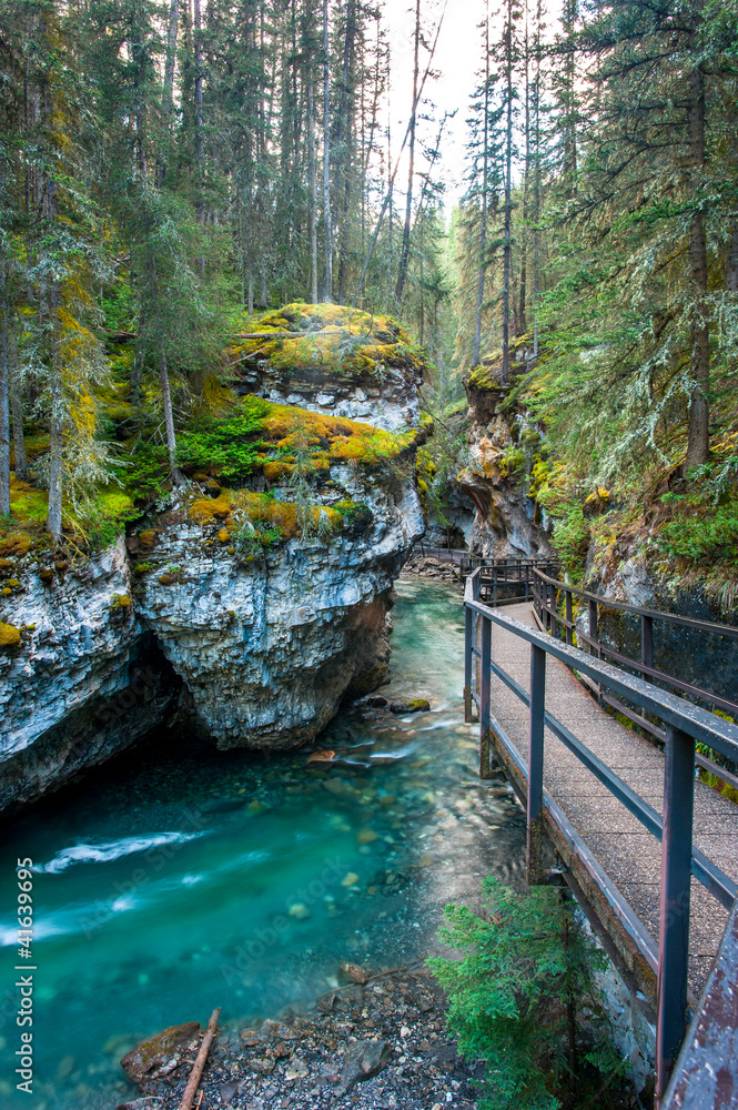 Fototapeta premium Johnston canyon
