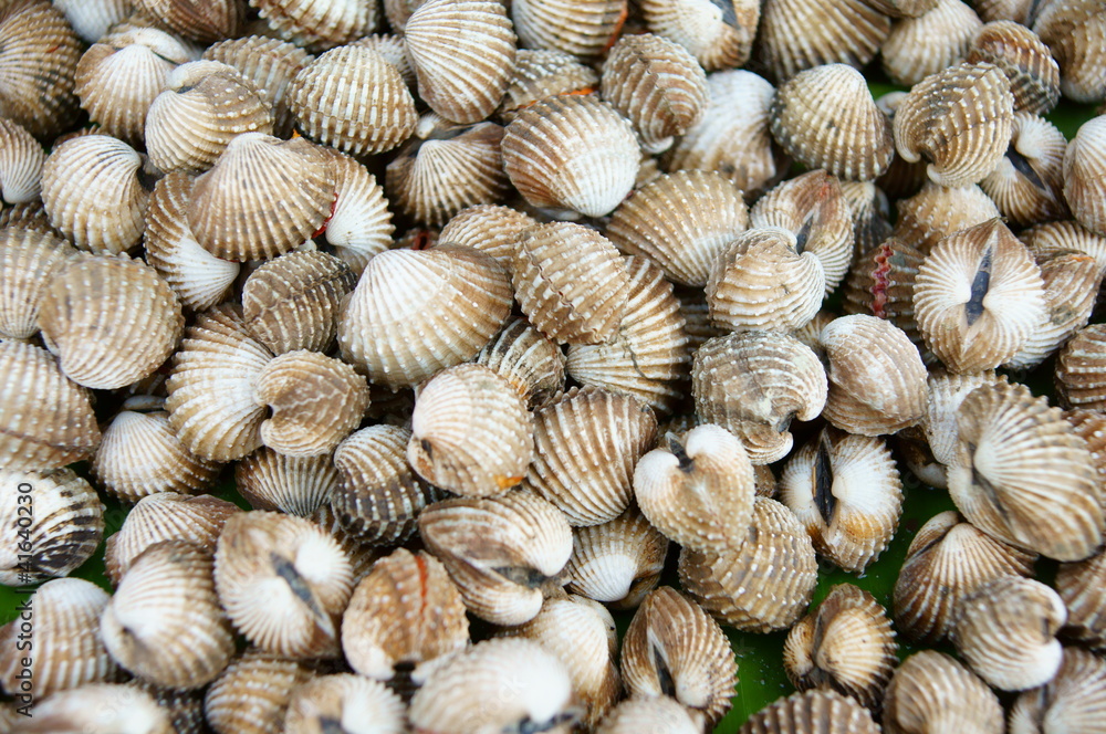 Cockles at the market