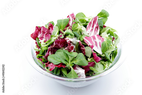 insalata mista su sfondo bianco photo