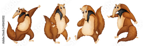 anteaters