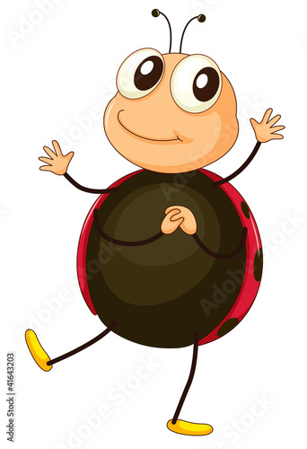 ladybird