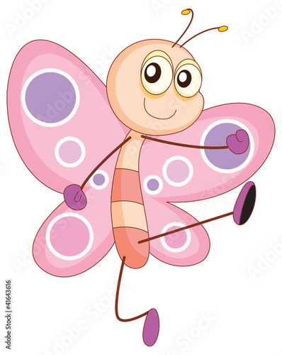 butterfly