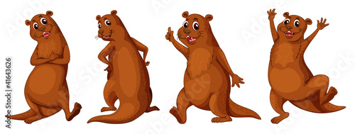 otter