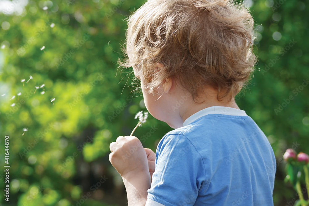 Little cute boy is blowing a dandelion outdoors Little cute boy is blowing a dandelion outdoors
