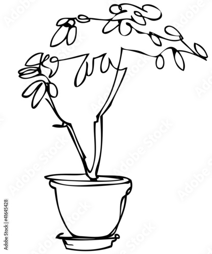 a sketch room plant flower in a pot