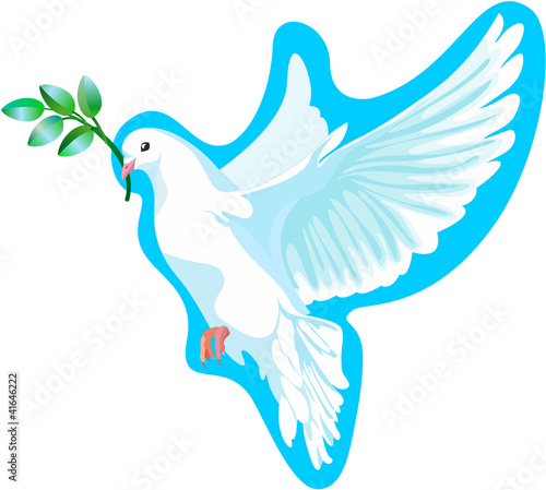 This is a white dove of peace, it is keeping the a green branch