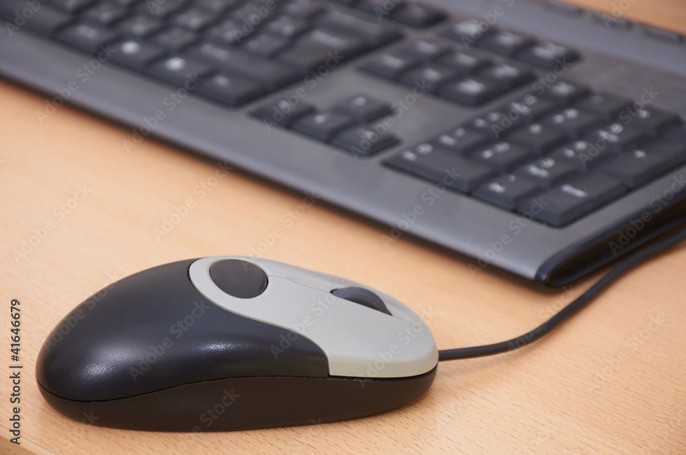 Computer mouse and the keyboard Computer mouse and the keyboard