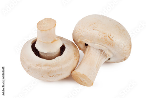 Two raw mushroom