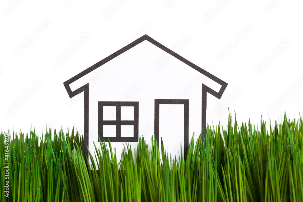 House and green grass