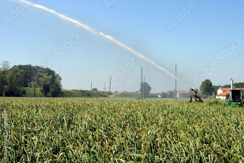 pump jet watering a cultivated field in farmlands