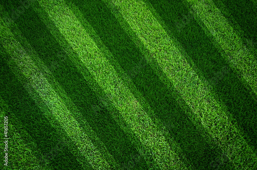 Green grass texture background And oblique lines