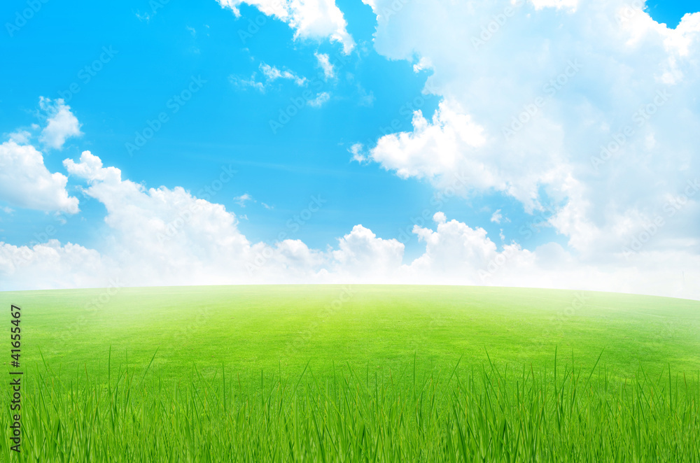 Obraz premium Green field and sky blue with white cloud