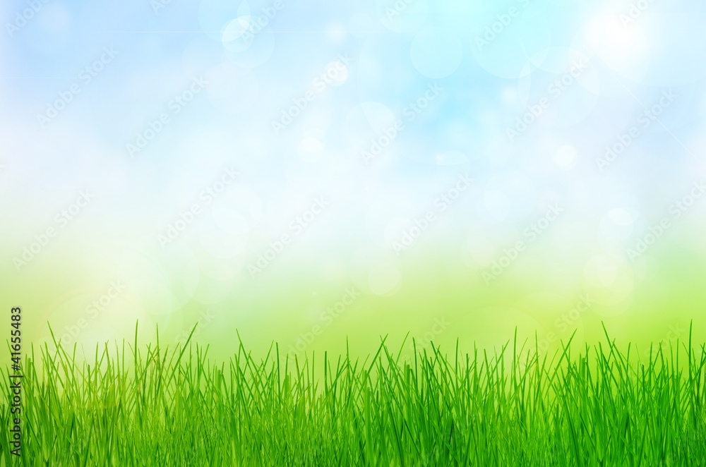 Spring nature background with grass and bokeh lights. Blue sky i