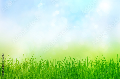 Spring nature background with grass and bokeh lights. Blue sky i