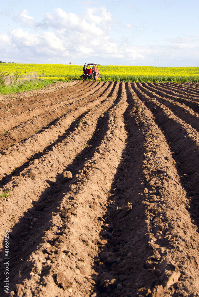Naklejka premium spring tillage in the ground and tractor