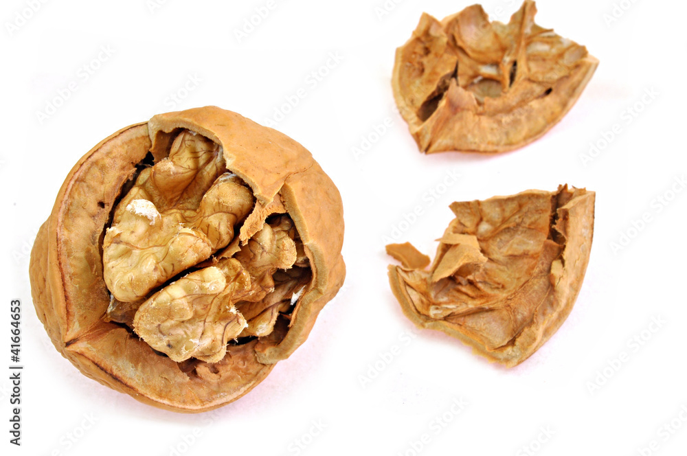 close up of broken shell of walnut