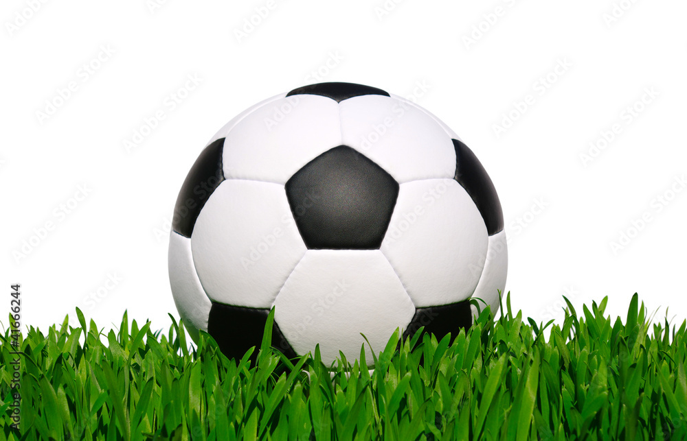 soccer ball soccer ball