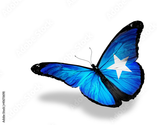 Somalian flag butterfly flying, isolated on white background