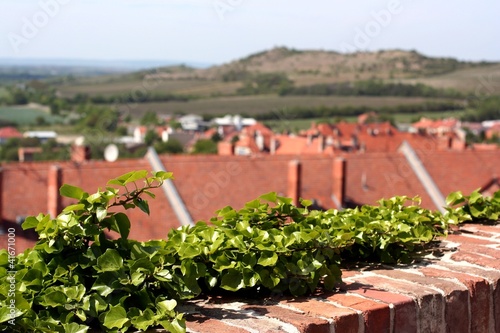 Ivy on a brick fence with Czech town as a background