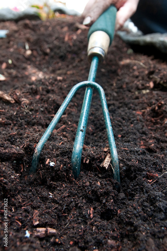 Wallpaper Mural Gardening Torontodigital.ca