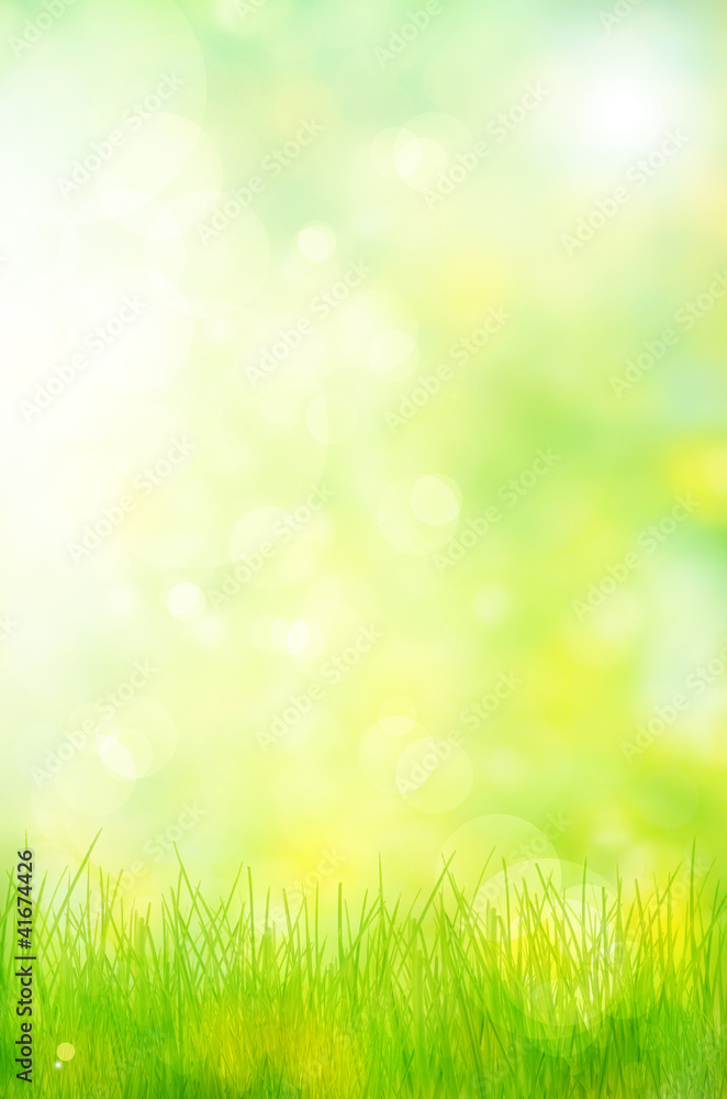abstract nature background spring greens