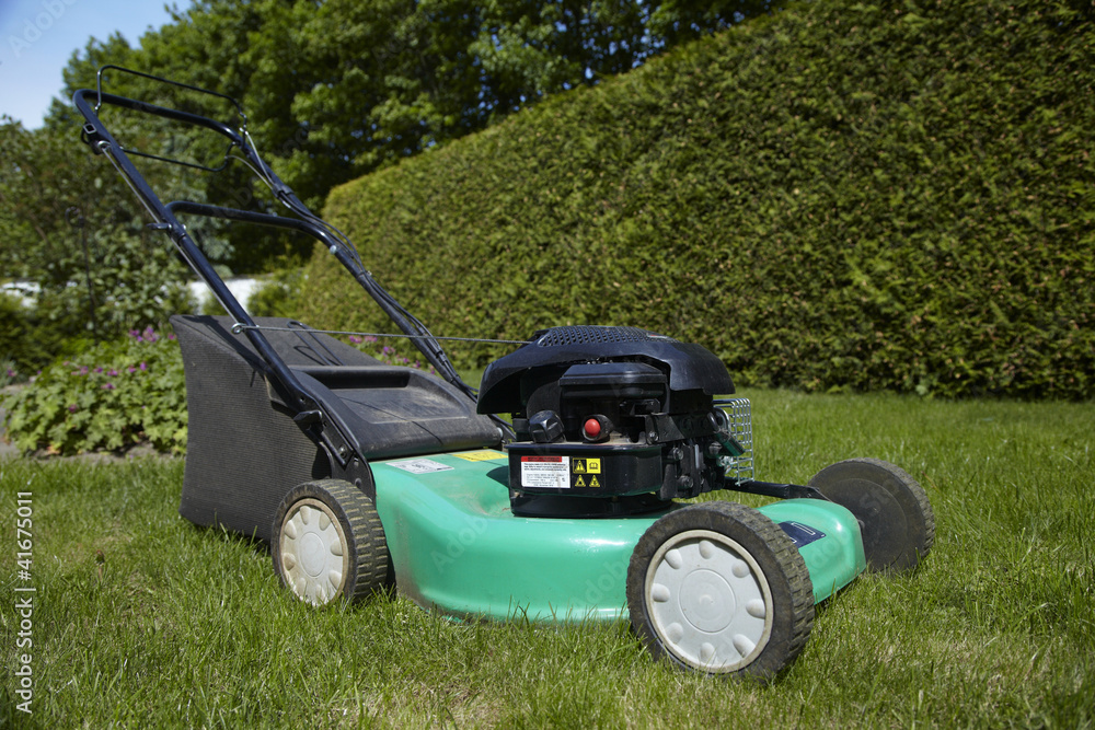 Fototapeta premium Rasenmäher