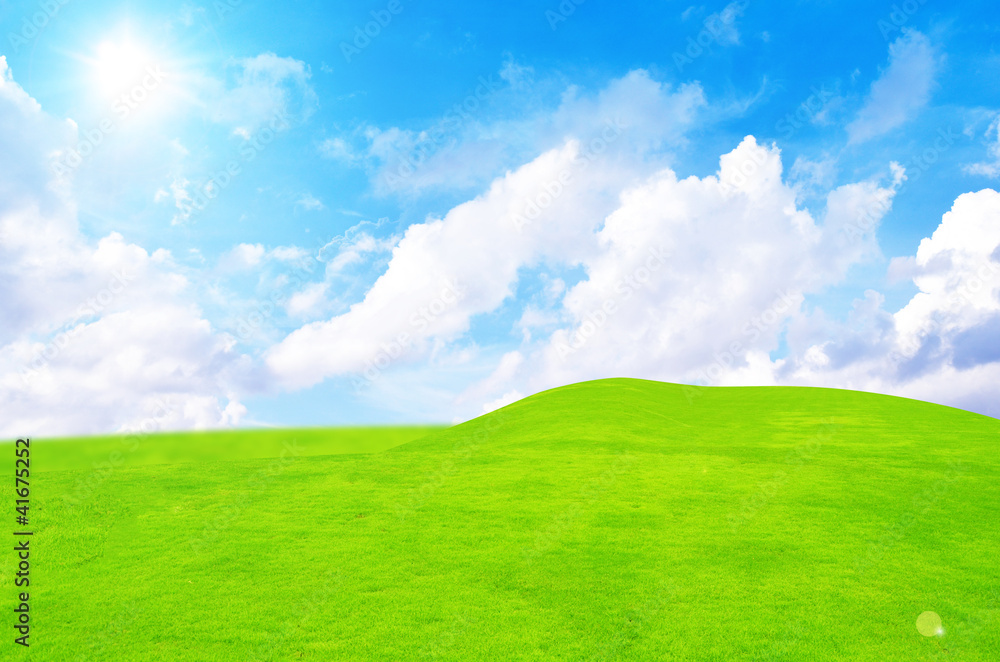 Green field and sky blue with white cloud Green field and sky blue with white cloud
