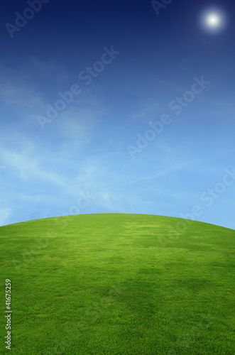 landscape with grass field © foxaon