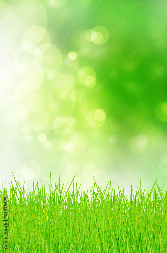 spring background