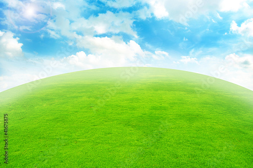 Green grass landscape blue sky for Backgrounds and design