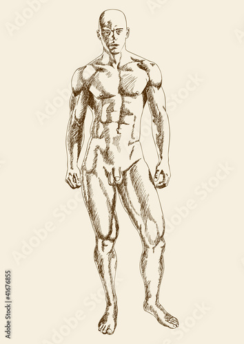 rules for teaching  Drawing poses Male figure drawing Body drawing