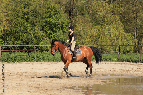 beautiful equestrienne on brown horse in summer