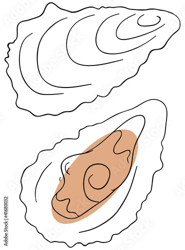 Vector oyster is isolated on a white background