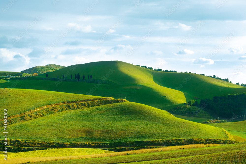 Obraz premium A sunny day in the hills