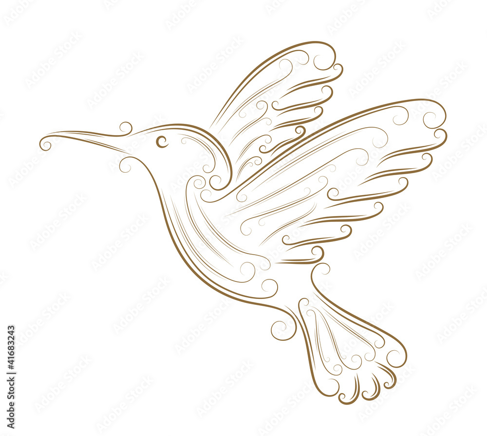 Obraz premium Sketch of hummingbird