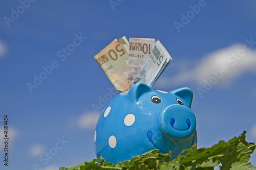 Sparschwein mit Banknoten