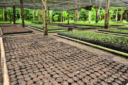 nursery building