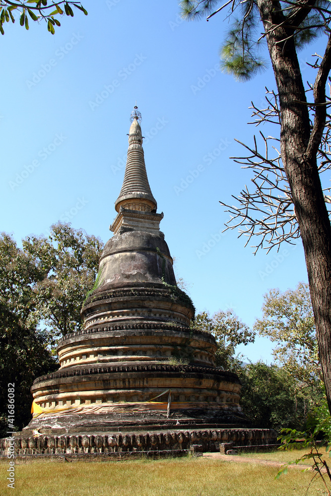 woods and old pagoda